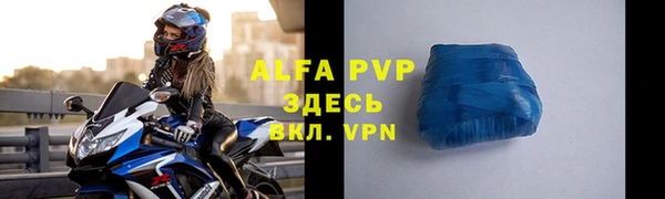 PSILOCYBIN Верхний Тагил