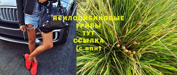 PSILOCYBIN Верхний Тагил