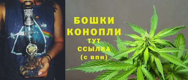 PSILOCYBIN Верхний Тагил