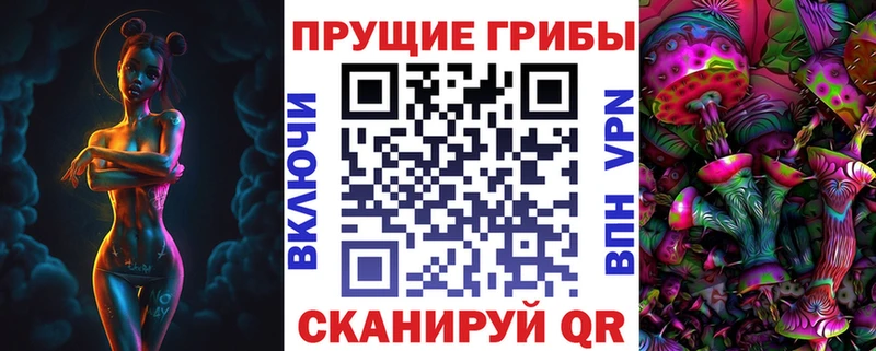 дарнет шоп  Владимир  Галлюциногенные грибы Cubensis 